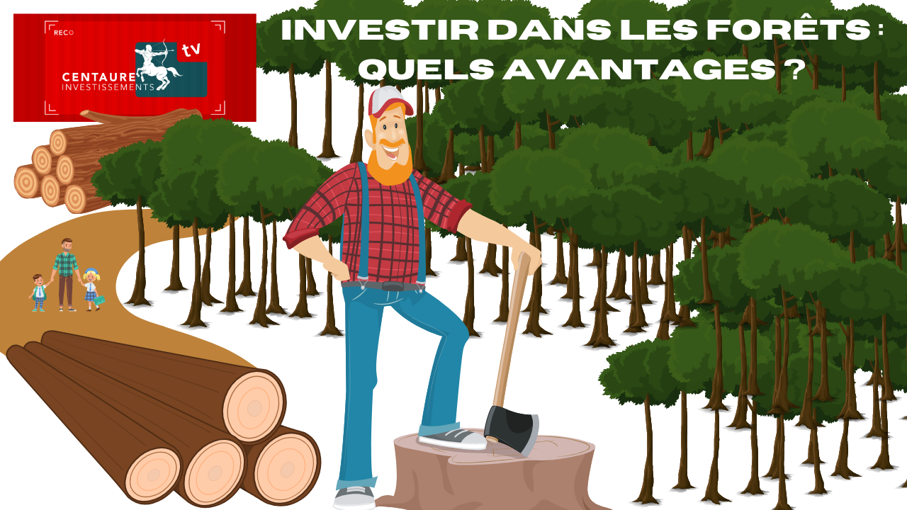 Bois et forêts : quels avantages pour l'investisseur ?